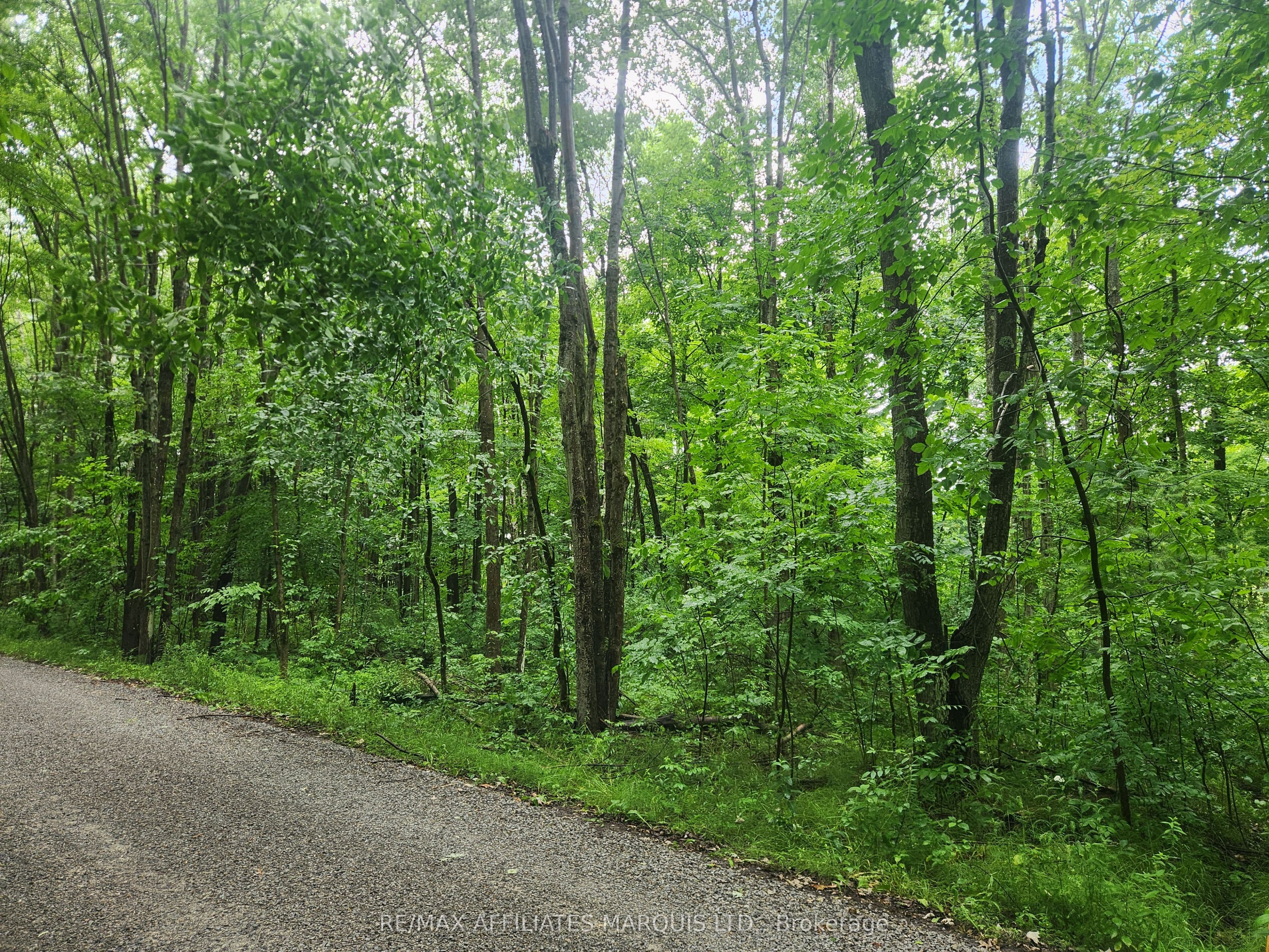 000 Cedar Sands Road Way, Rideau Lakes, ON K0E 1N0