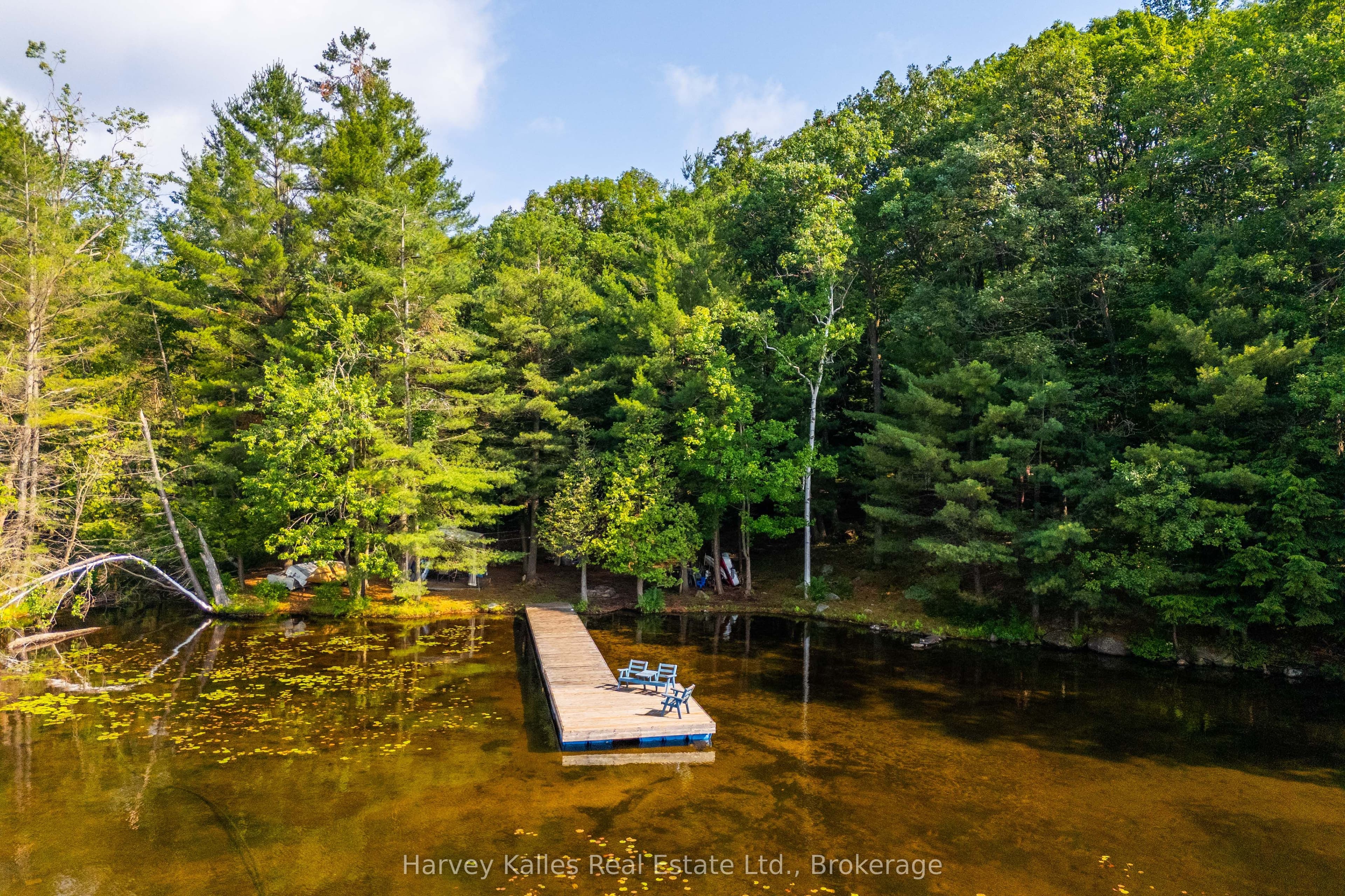1254 Barlochan Road 4, Muskoka Lakes, ON P1P 1R2