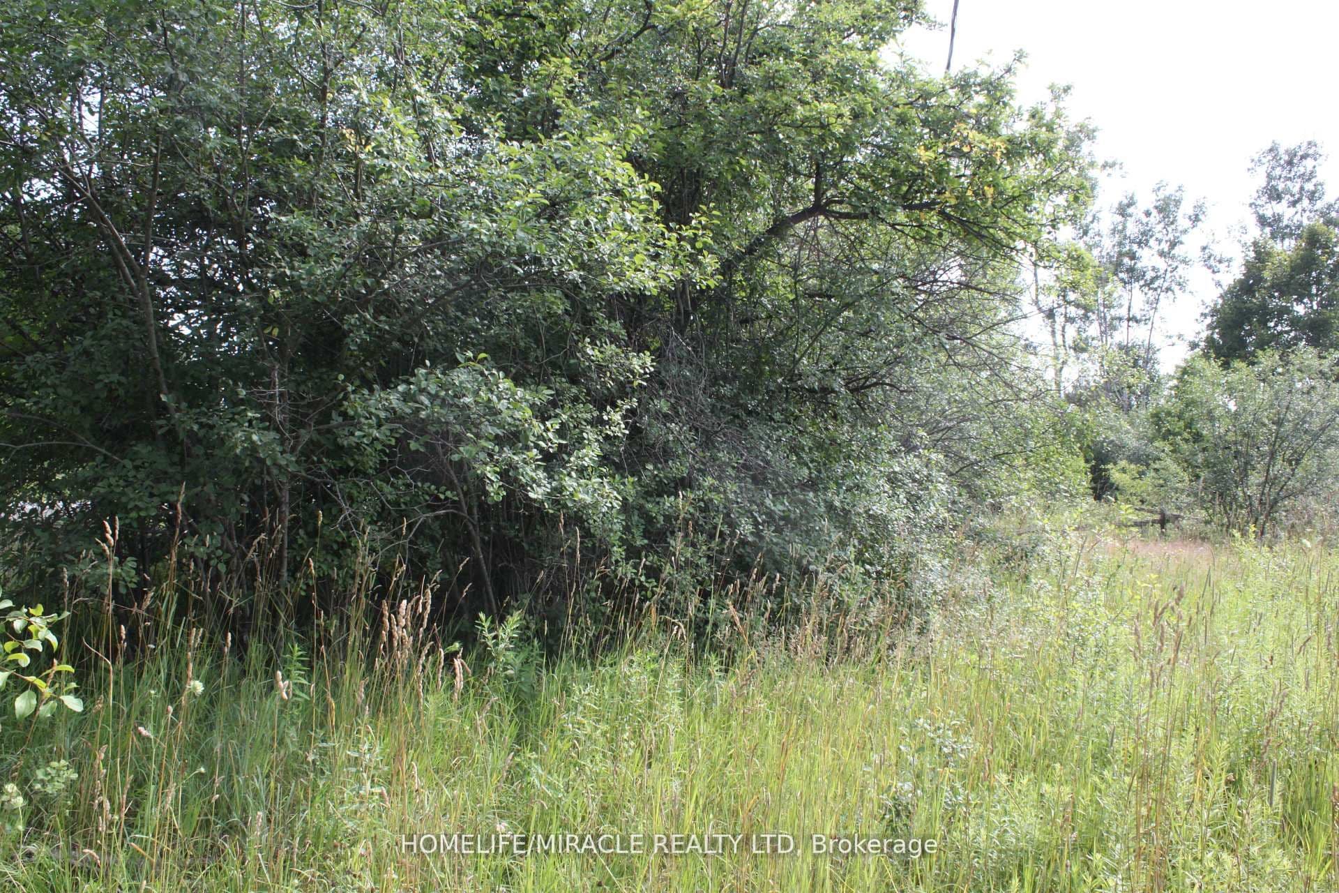 376 HIGHWAY 15, Rideau Lakes, ON K7A 0E5