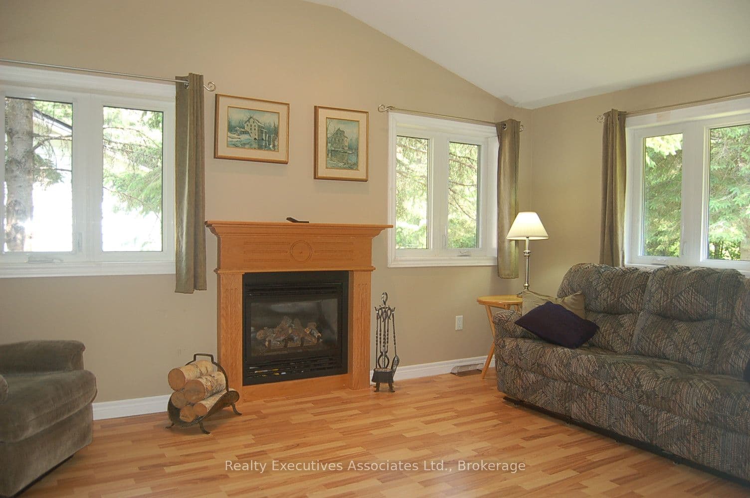 211 Alpine Lake Road, Trent Lakes, ON K0M 1A0