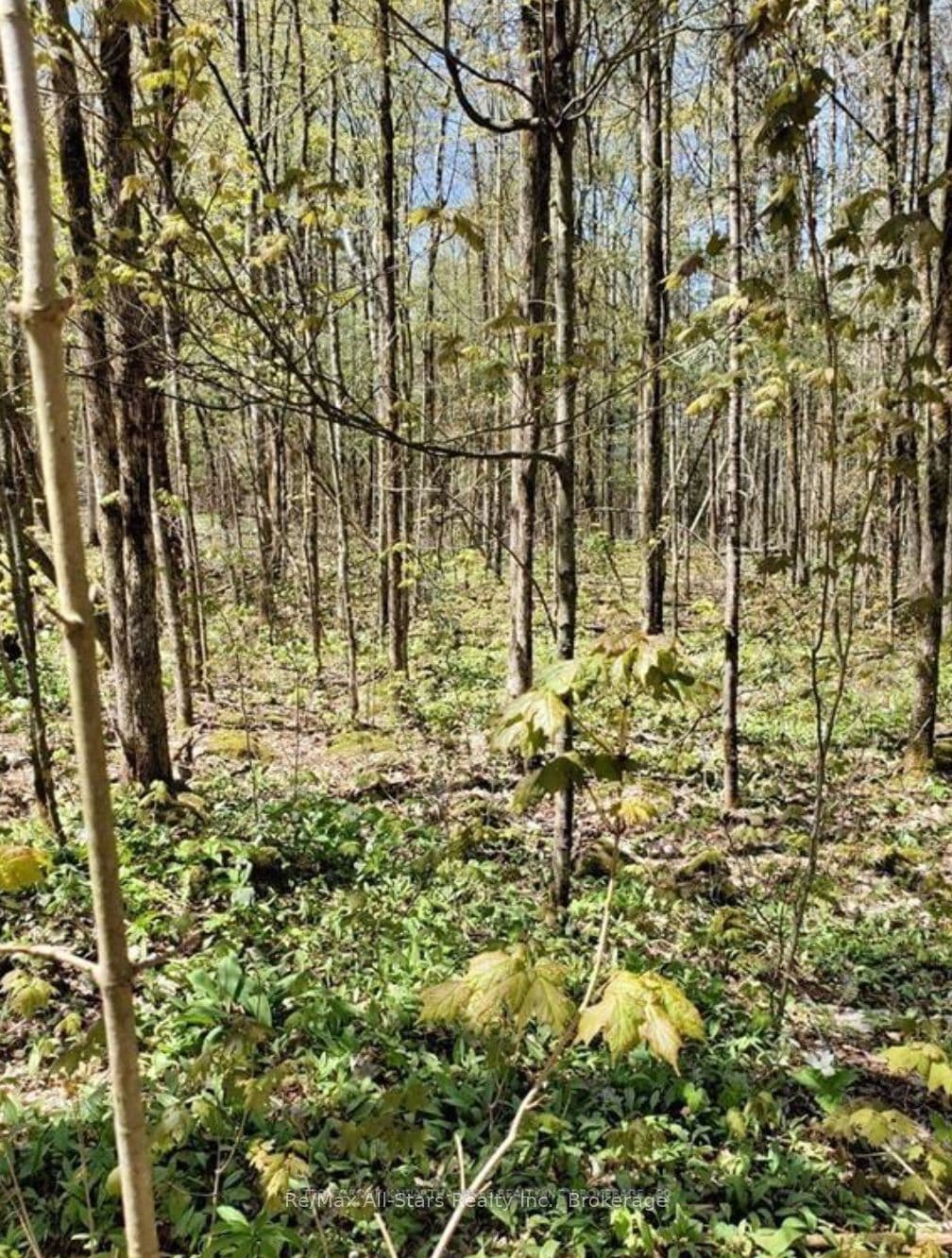 Lot 4 Maritime Road, Kawartha Lakes, ON K0M 2B0