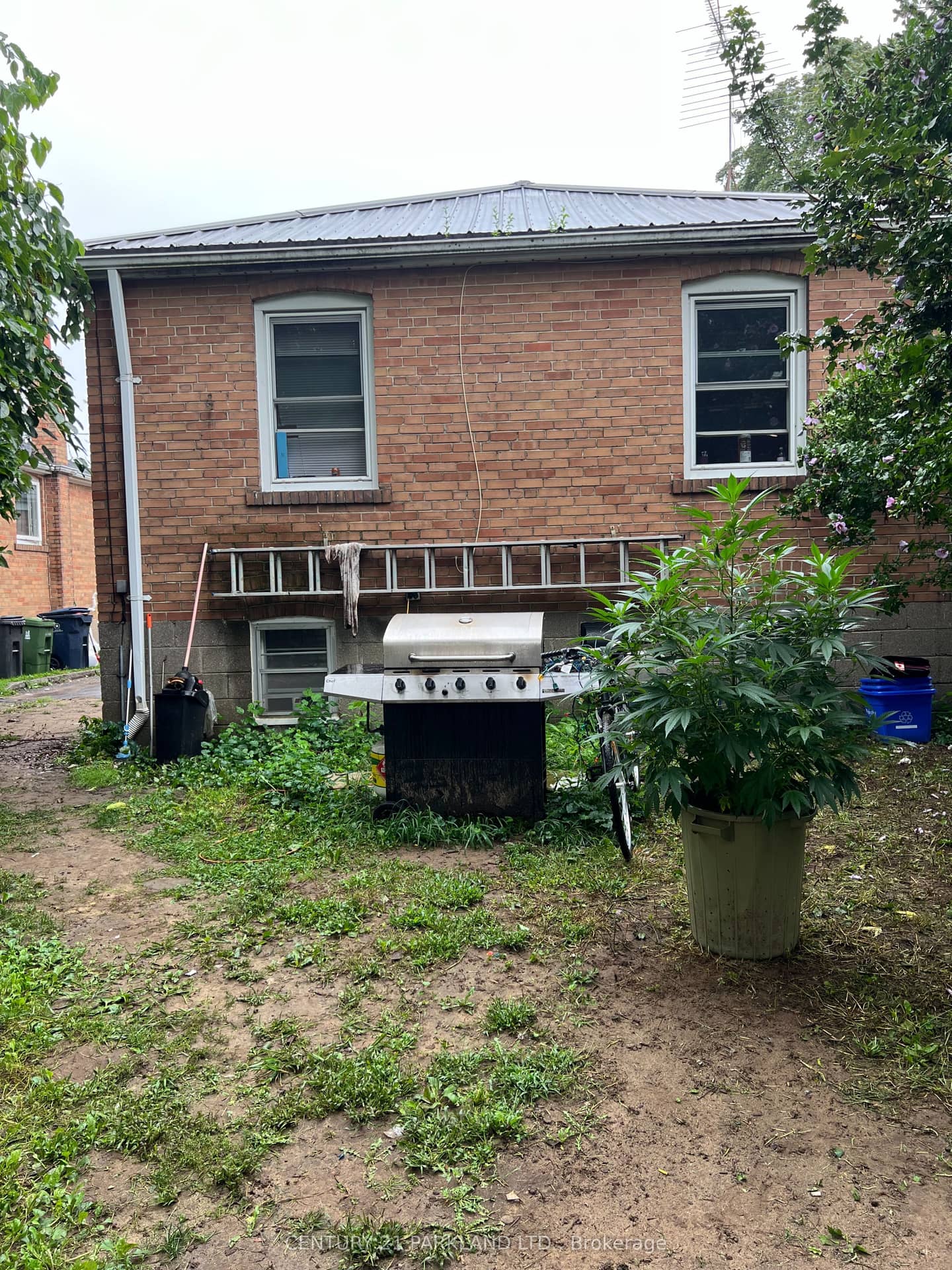 125 North Carson Street, Toronto, ON M8W 4C7