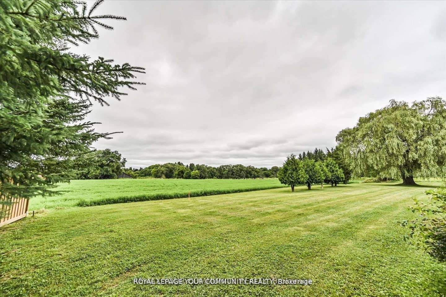 6162 Highway 9, King, ON L0G 1T0