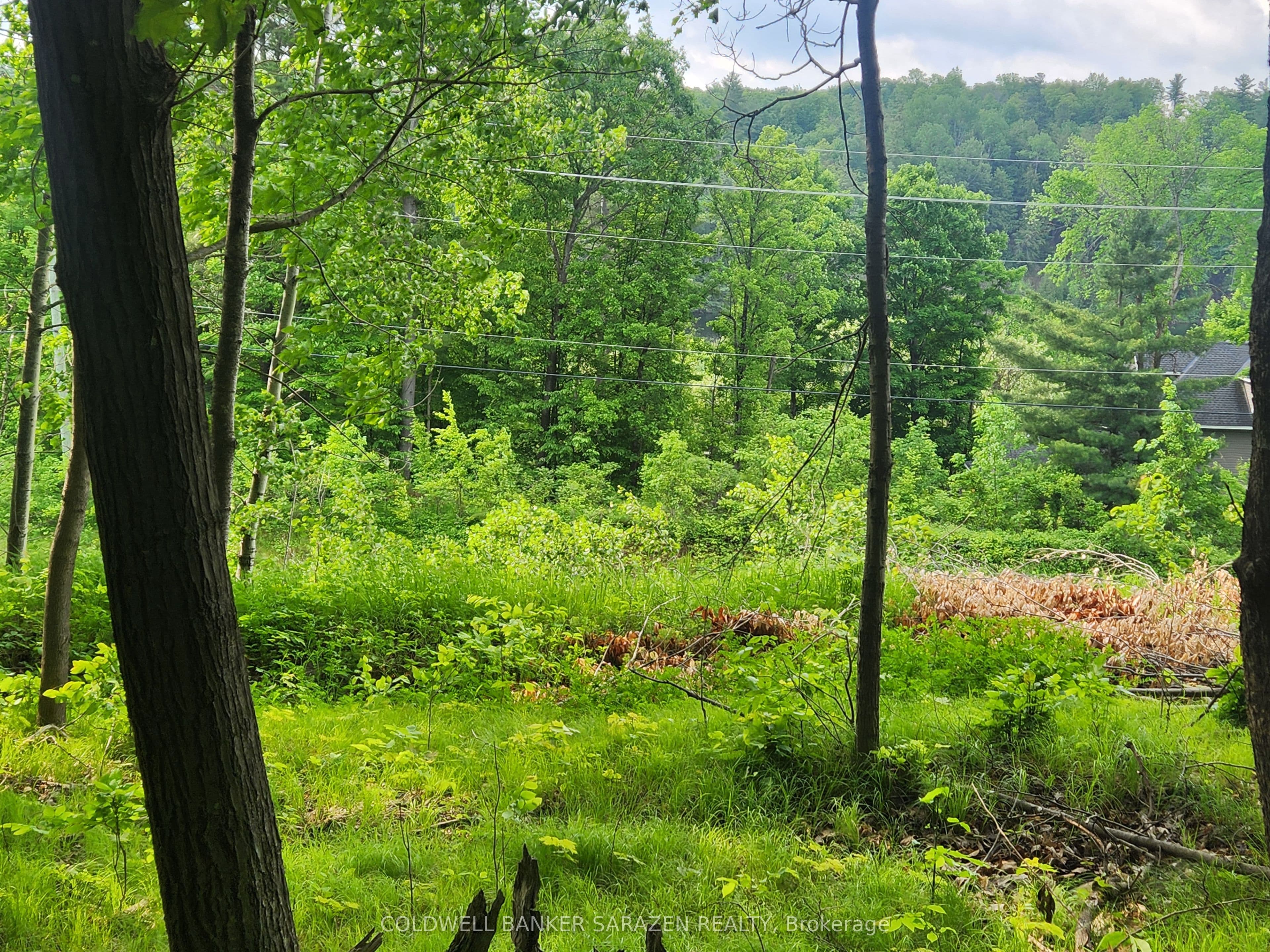 1680 CALABOGIE Road, McNab/Braeside, ON K0A 1G0