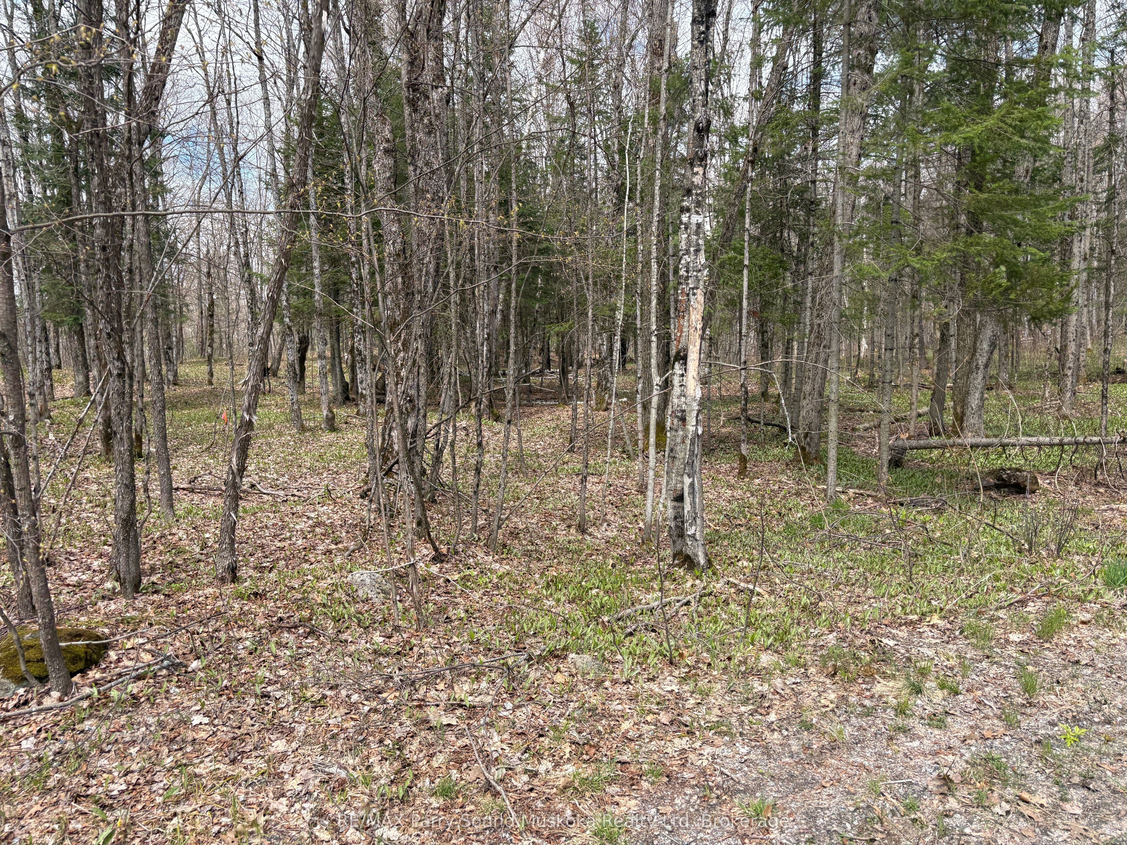 0 Dauncey Road, Magnetawan, ON P0A 1P0