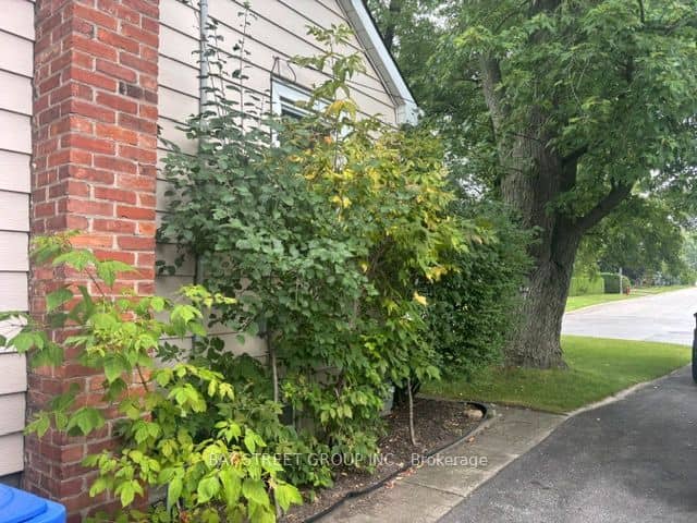 320 Stewart Street, Newmarket, ON L3Y 3M6