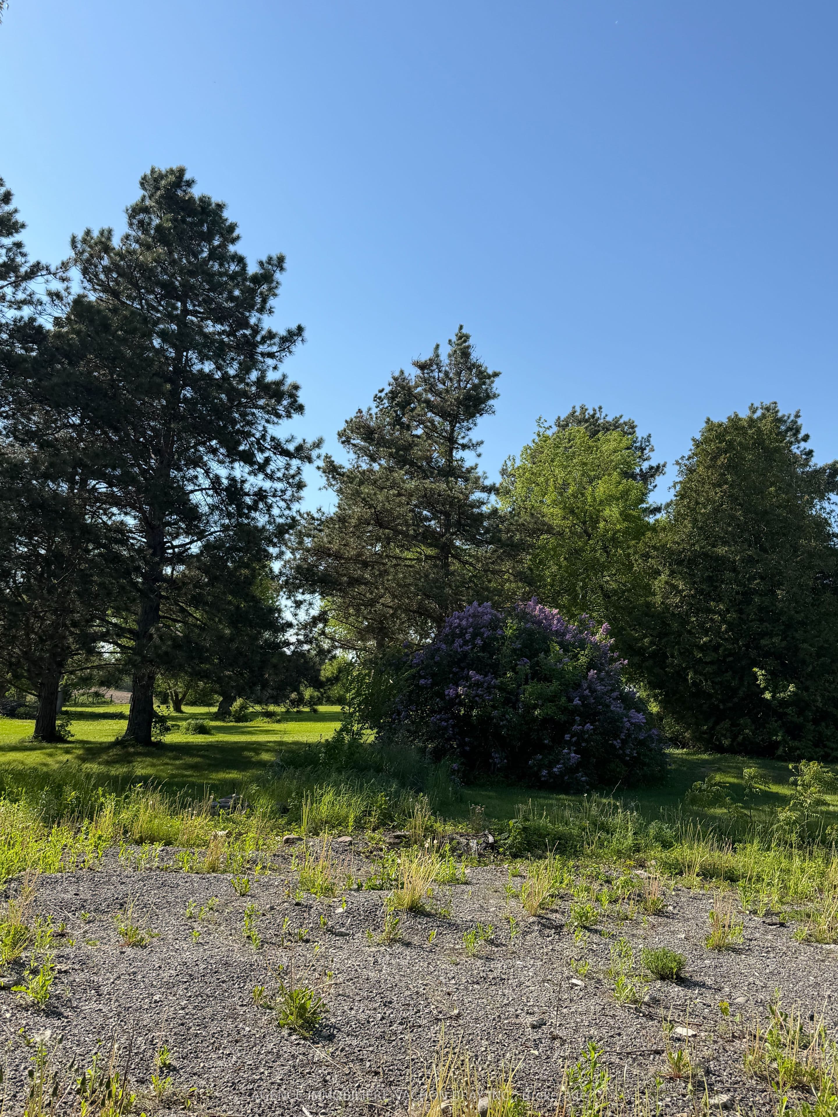 21231 Conc 6 Road, South Glengarry, ON K0C 1Z0