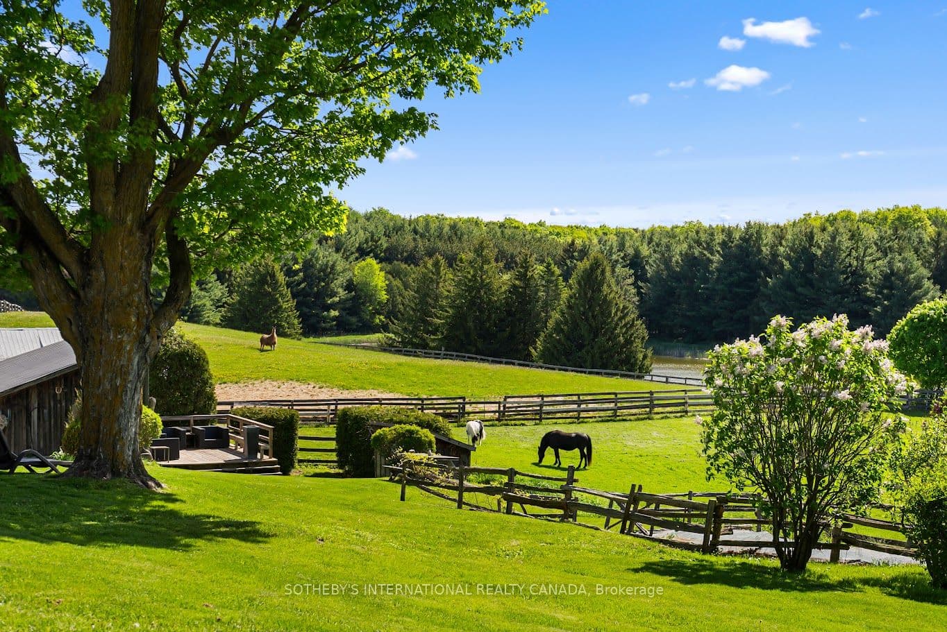 18101 Shaws Creek Road, Caledon, ON L7K 0E8