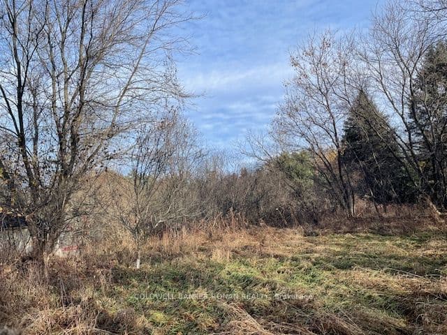 3678 McCarthy Drive, Clearview, ON L0M 1N0