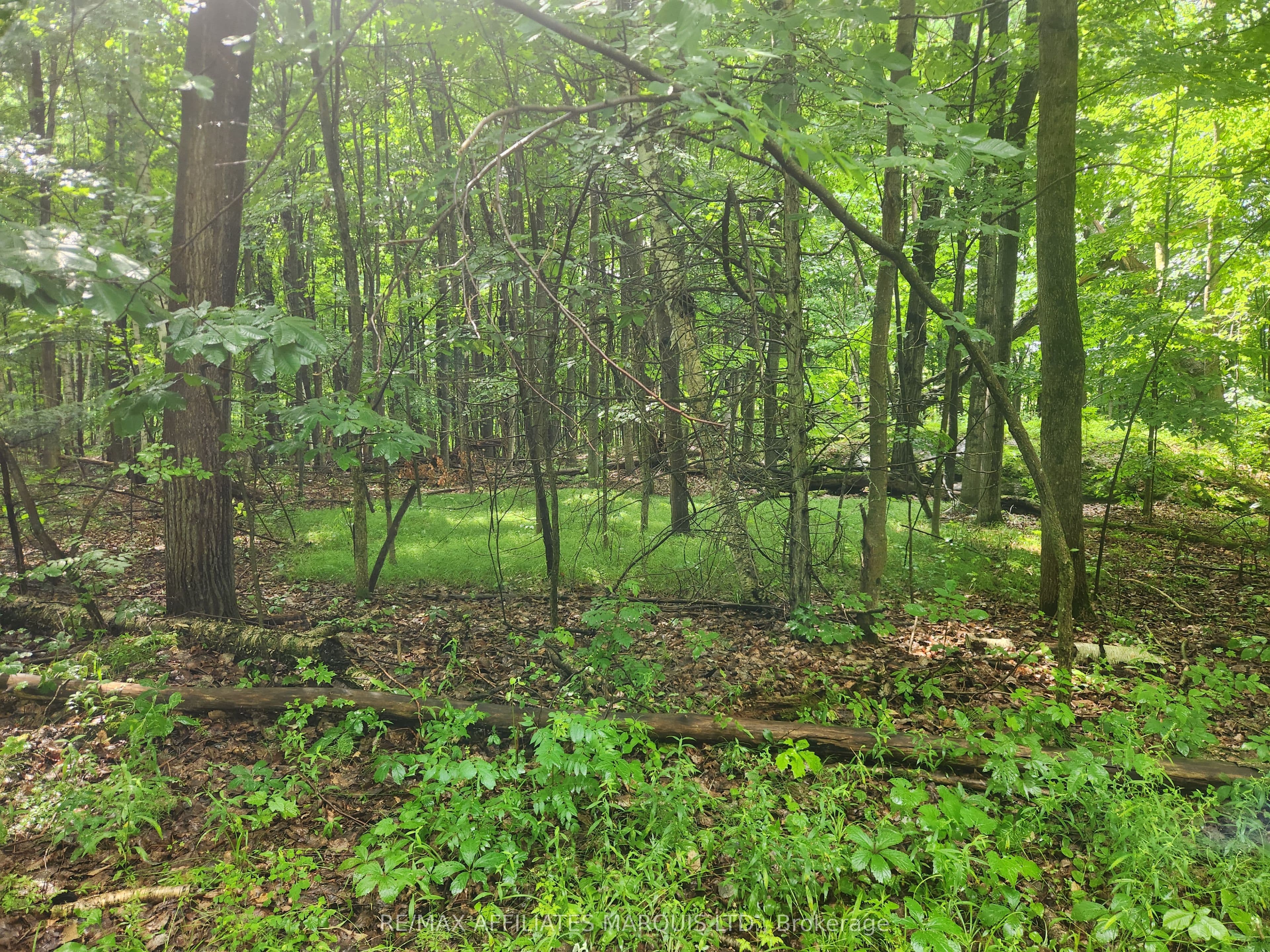 000 Cedar Sands Road Way, Rideau Lakes, ON K0E 1N0