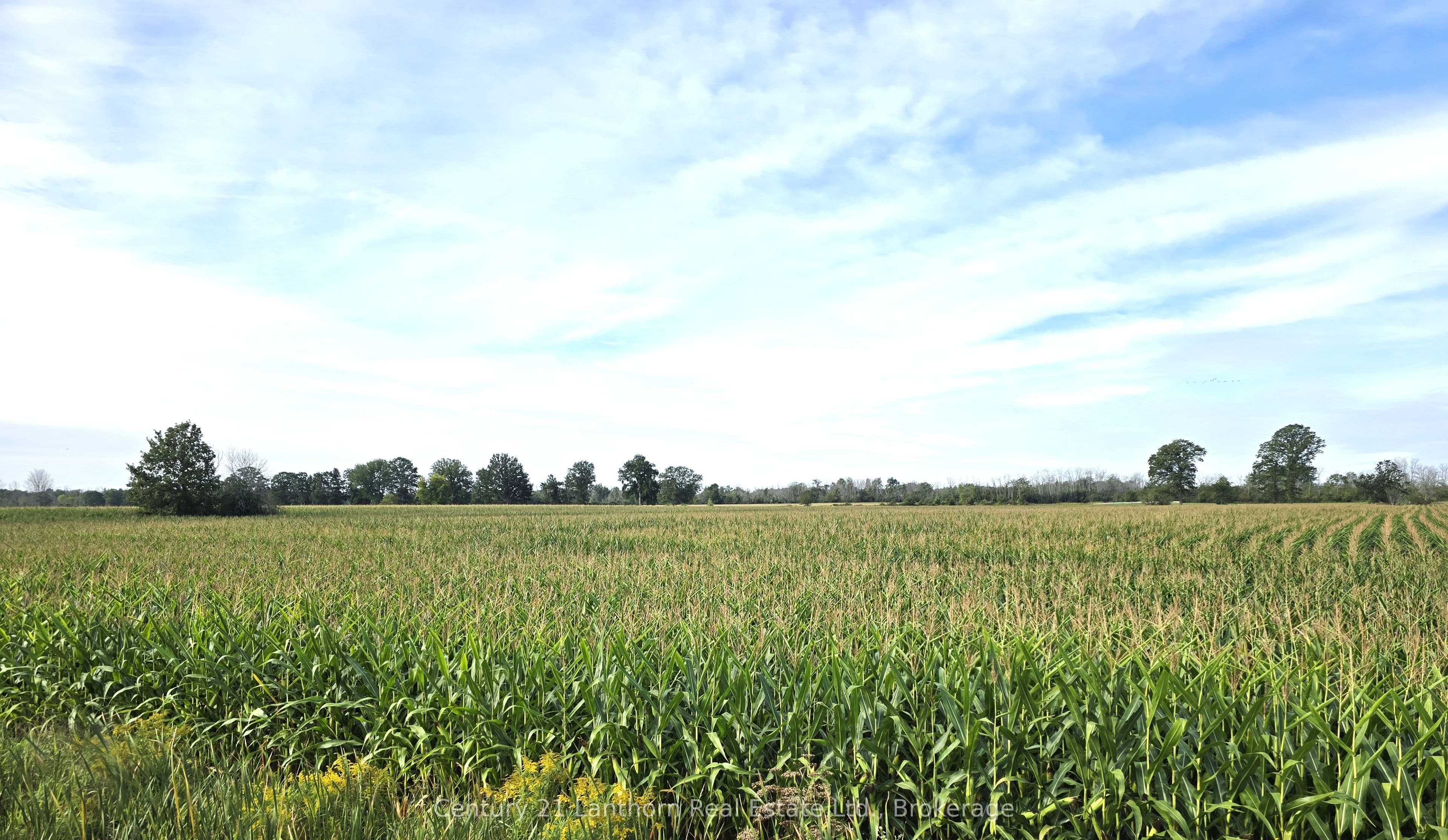 1014 Hamilton Road, Quinte West, ON K8V 5P8