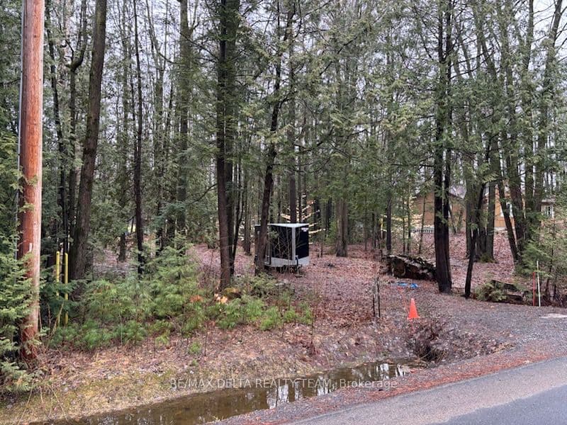 LOT 2 CONCESSION 5 Road, Alfred and Plantagenet, ON K0B 1L0