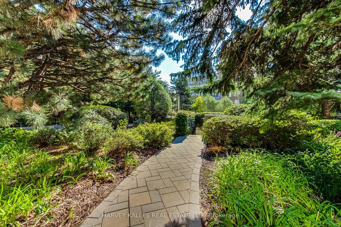 268 Ridley Boulevard 314, Toronto, ON M5M 4N3