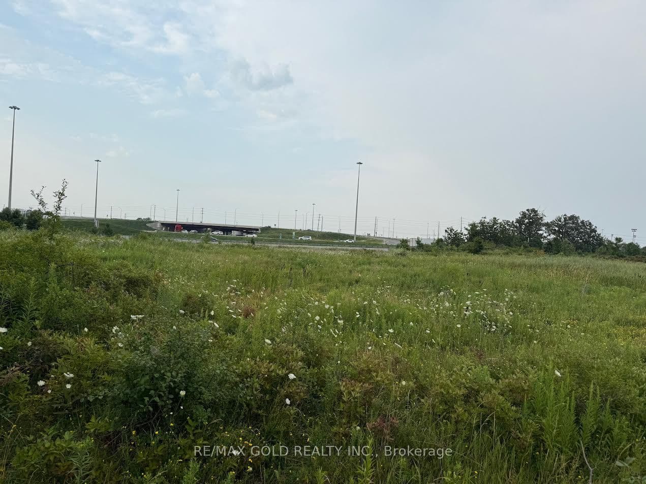 141 Chisholm Drive, Milton, ON L9T 4A6