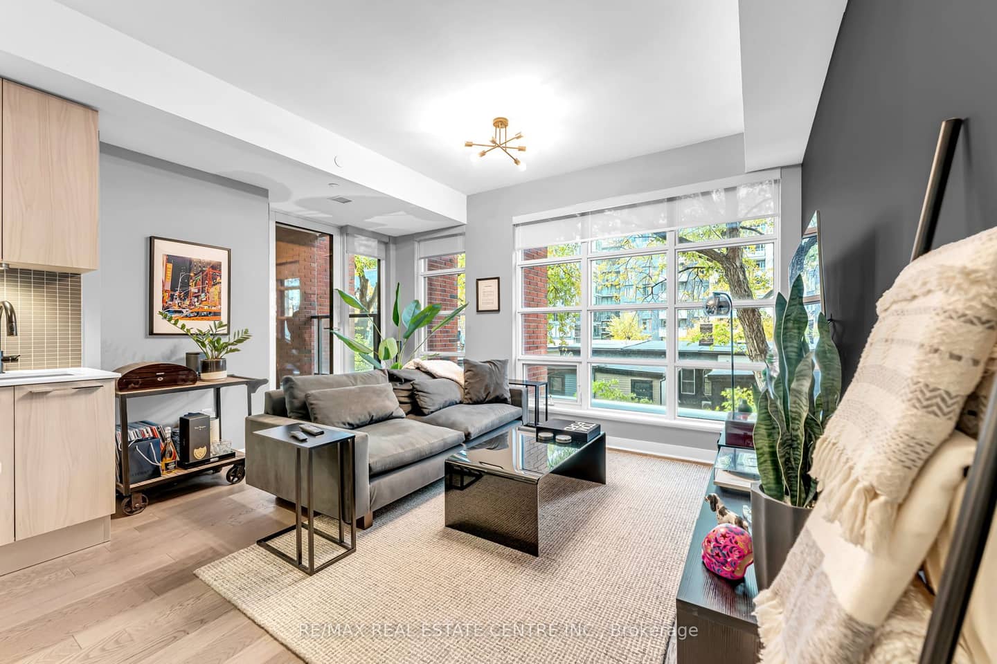 501 Adelaide Street W 306, Toronto, ON M5V 0R3