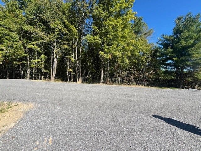 Pt 33A & Pt 33B Autumn Road N, Trent Hills, ON K0K 3K0