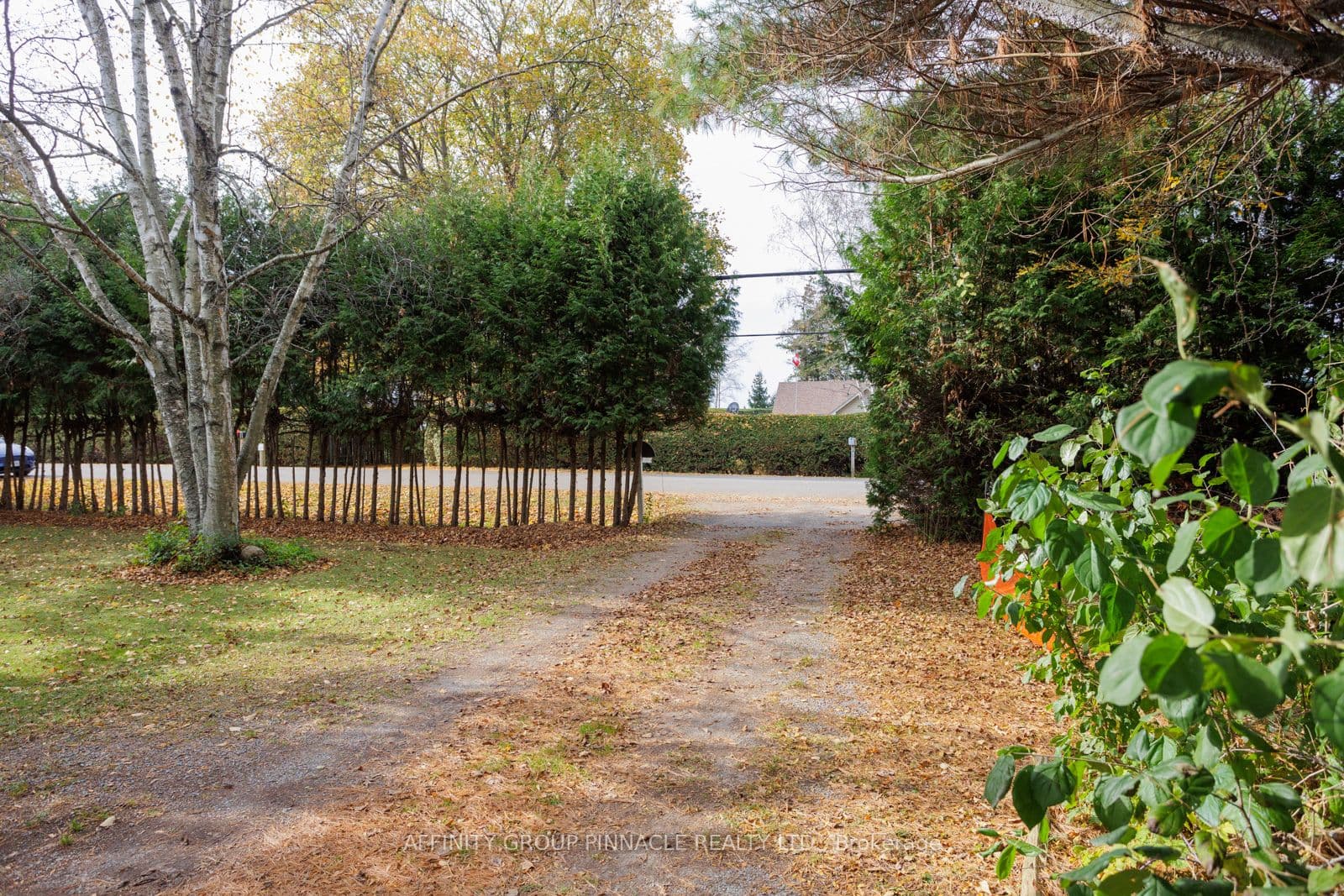 81 Cedar Beach Road, Brock, ON L0K 1A0